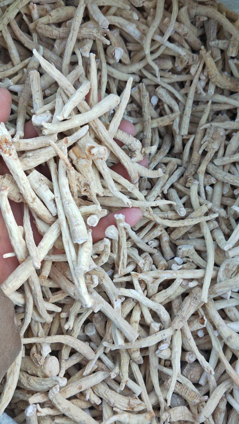 优质5年[无硫西洋参丁]原产地批发一手货源量大从优