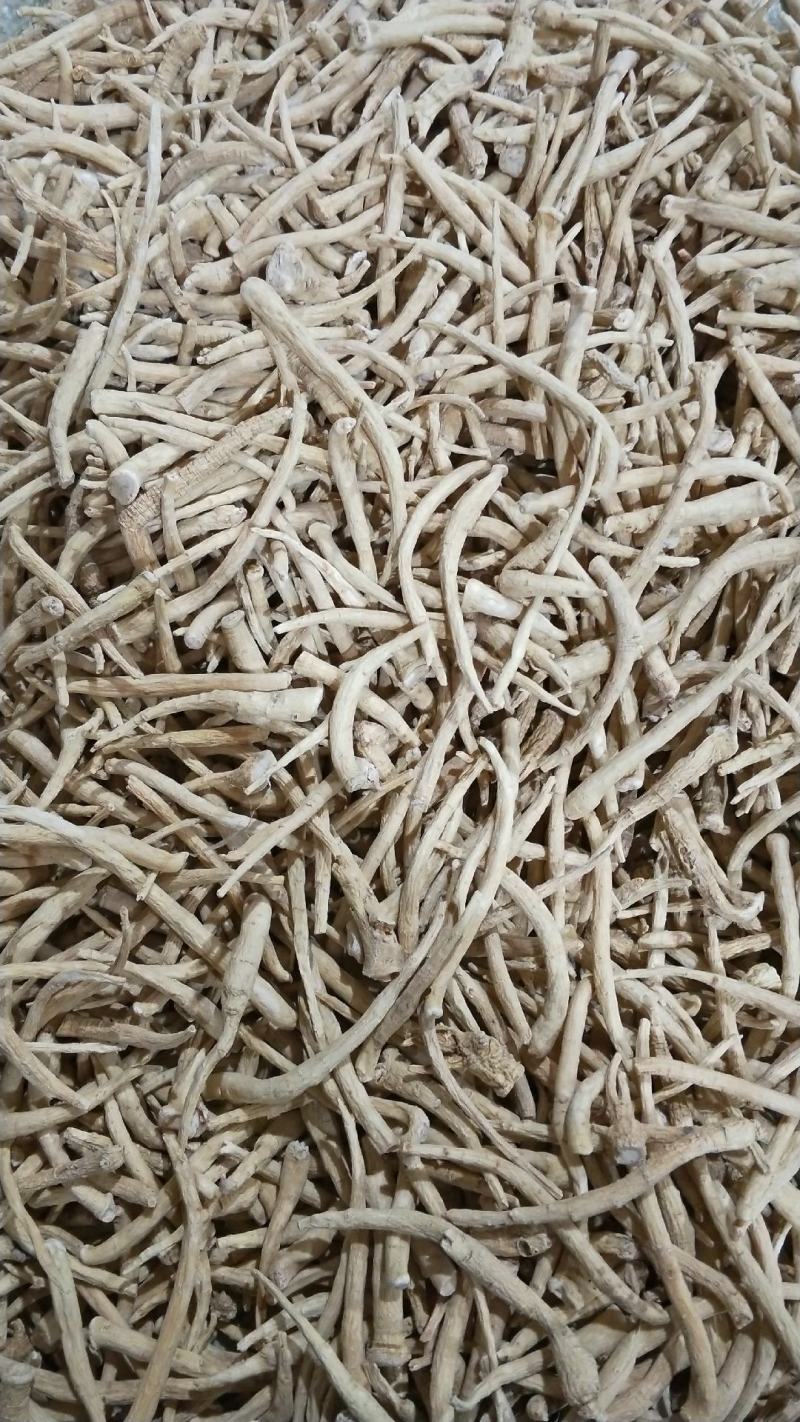 优质5年[无硫西洋参丁]原产地批发一手货源量大从优