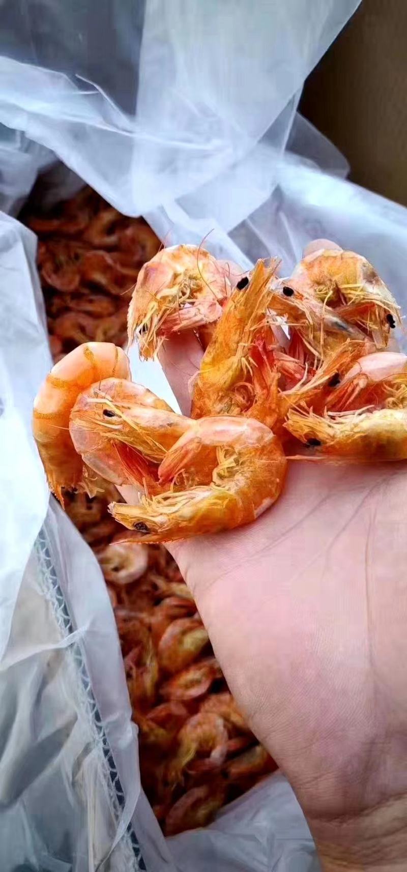 各种规格的烤虾对虾！一手货源，大量批发！一箱18斤