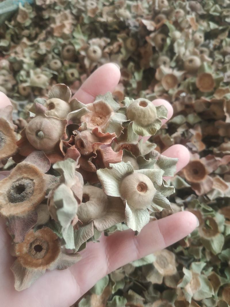 柿子丁～新货～量大优惠～价格优惠欢迎咨询采购