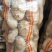 精品土豆黄心白心量大货优供应各种应季蔬菜
