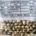 白花大荚荷兰豆早熟高产
