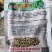 白花大荚荷兰豆早熟高产