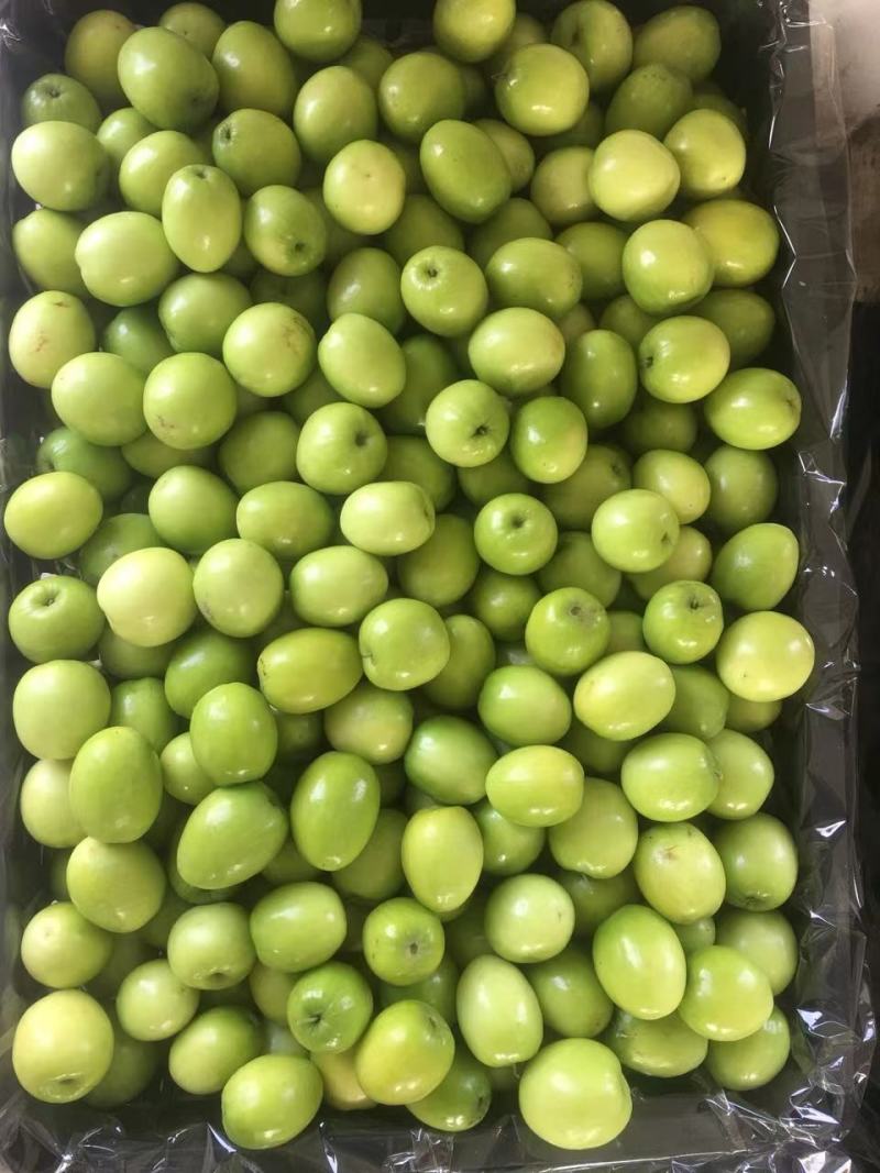 云南牛奶枣苹果枣，基地现货供应，一件代发