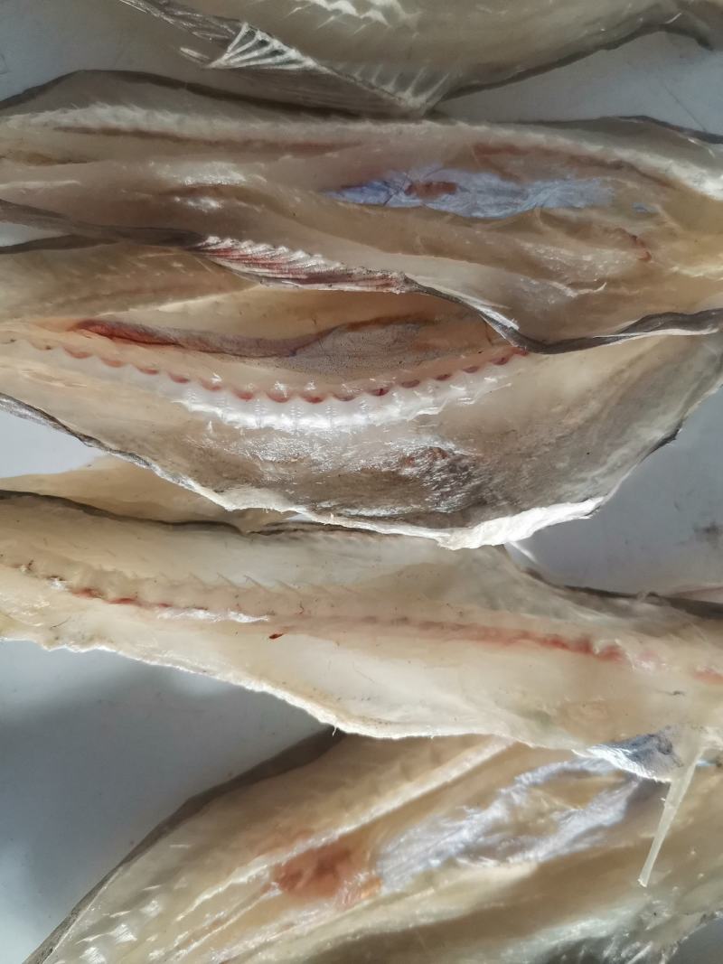 龙头鱼干淡干天然日晒