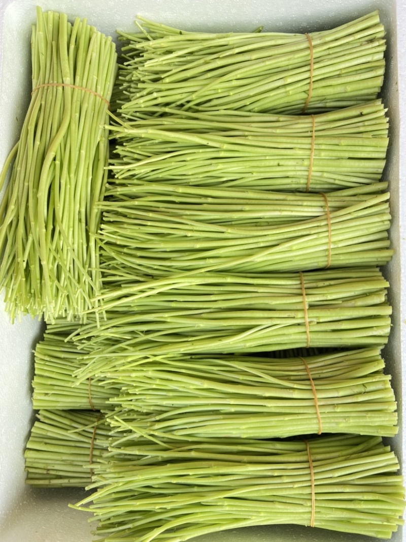 精品芦蒿靓货..…