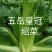 绍菜种苗，基地直供，有要的老板联系，品质保证，量大从优。