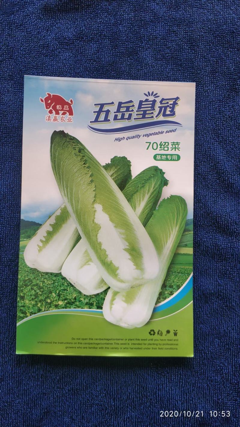 绍菜种苗，基地直供，有要的老板联系，品质保证，量大从优。