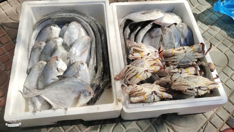 象山华少东海精品小海鲜