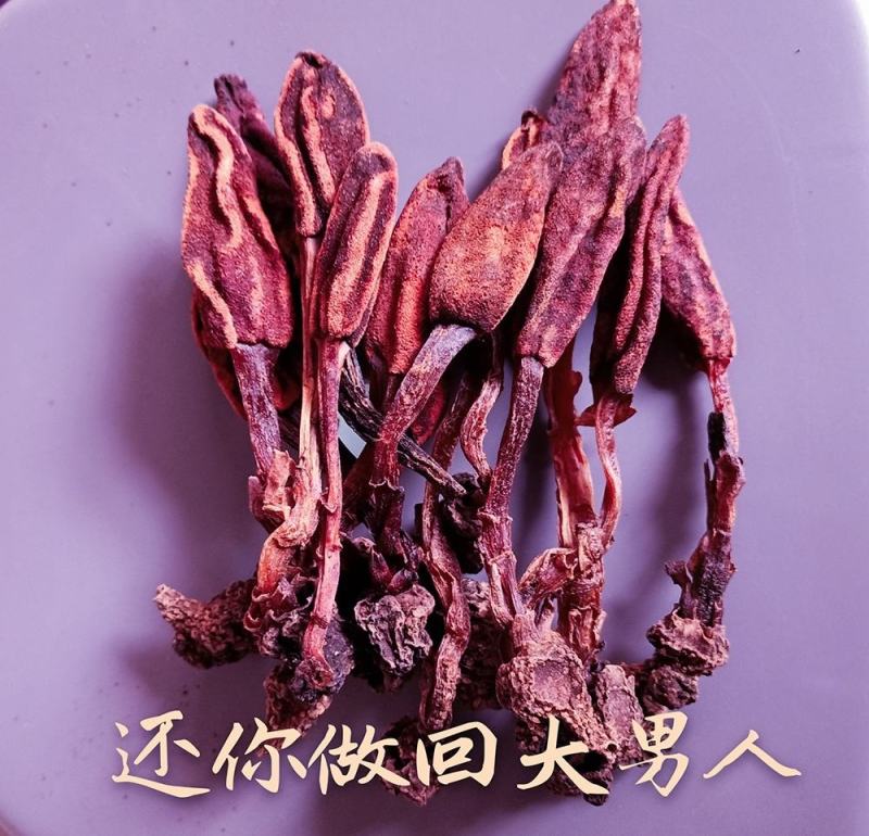 包邮回春草野生500g深山不老草顶天柱草苁蓉中药男性