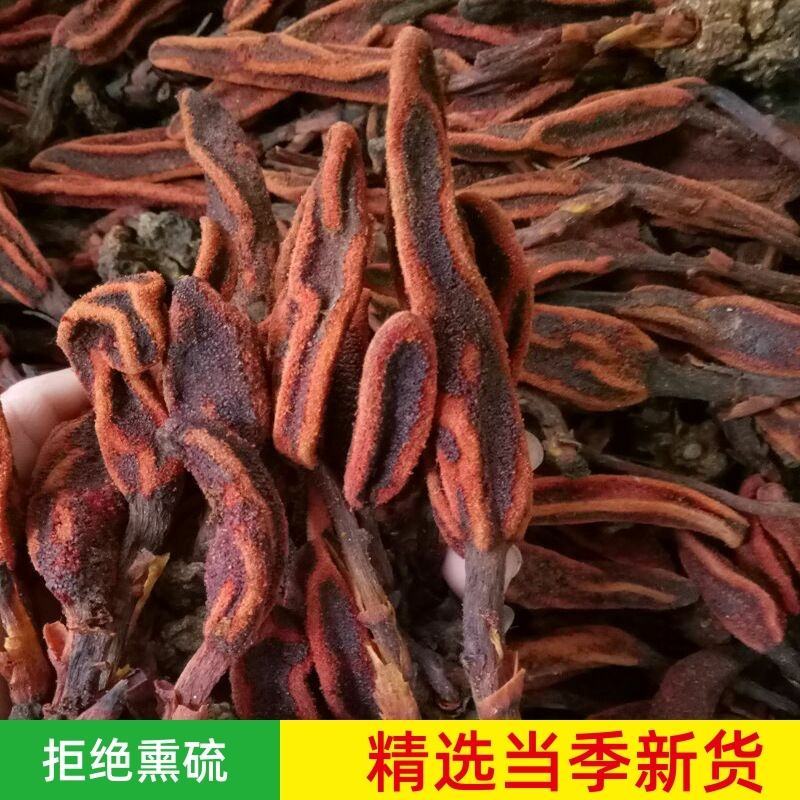 包邮回春草野生500g深山不老草顶天柱草苁蓉中药男性