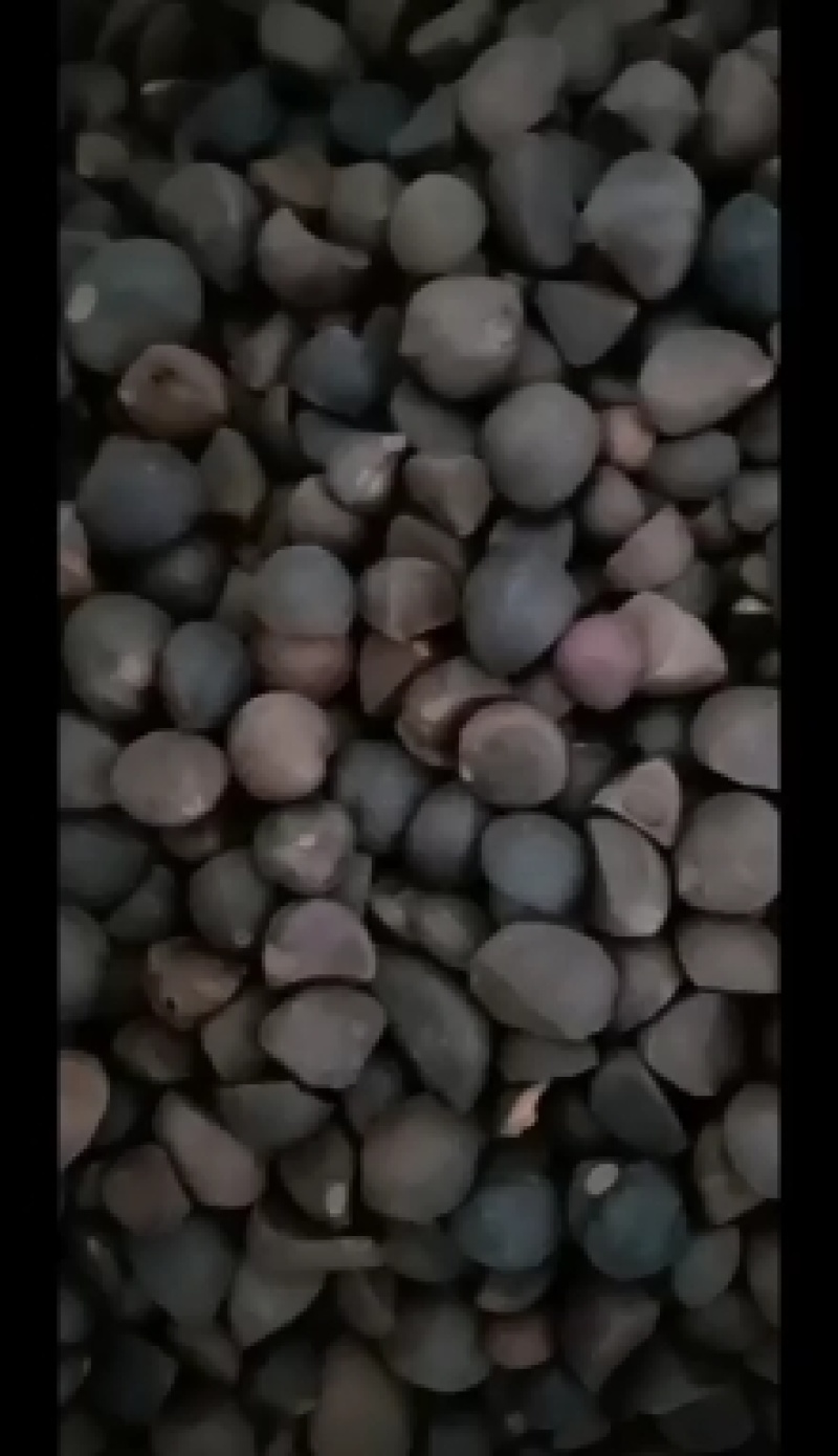 油茶籽，手工去壳，无霉变