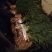 陕西汉中洋县蒜苗新蒜苗大量上市大家快来抢购