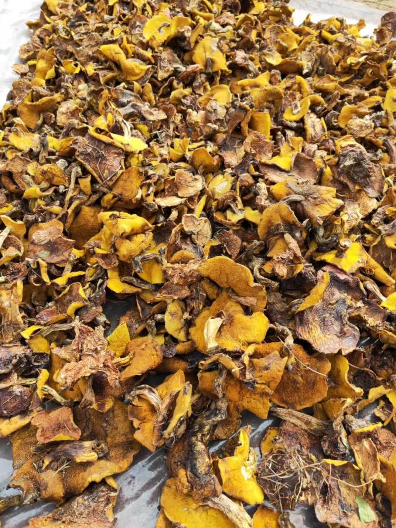 松蘑烤干，天然野生，剪根，颜色好不好，自己看！