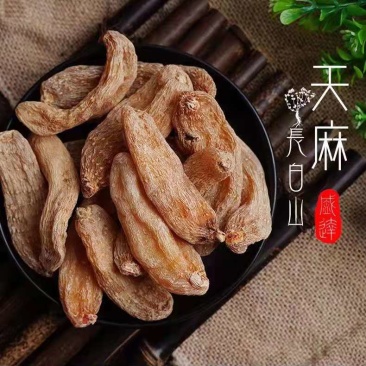 新品天麻《长白山野生大个天麻》泡酒煲汤打粉