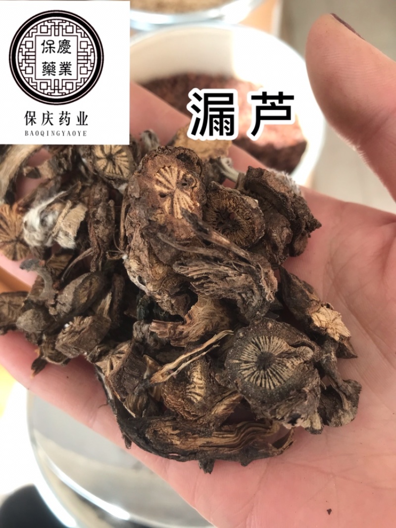 漏芦保庆药业批发中药材漏芦实物拍摄，发货如图