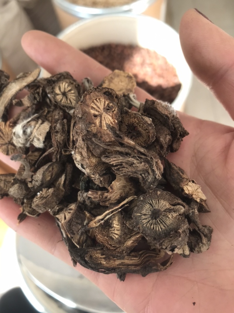 漏芦保庆药业批发中药材漏芦实物拍摄，发货如图