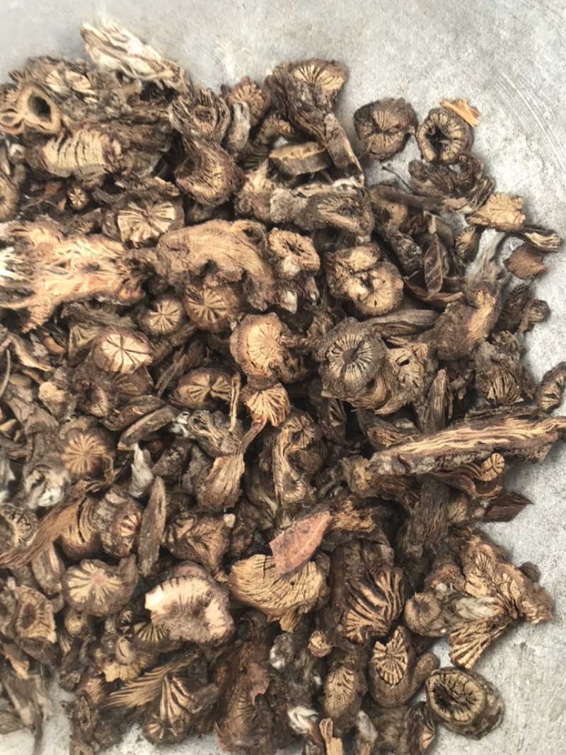 漏芦保庆药业批发中药材漏芦实物拍摄，发货如图