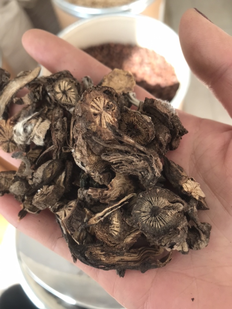 漏芦保庆药业批发中药材漏芦实物拍摄，发货如图