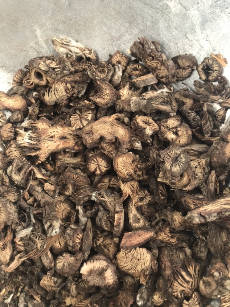 漏芦保庆药业批发中药材漏芦实物拍摄，发货如图