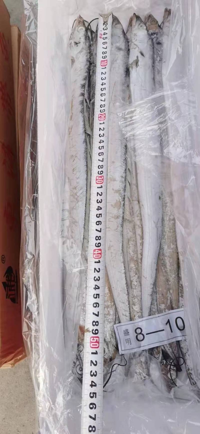 带鱼，鲜活速冻，三证齐全！新货量大，各个规格齐全！
