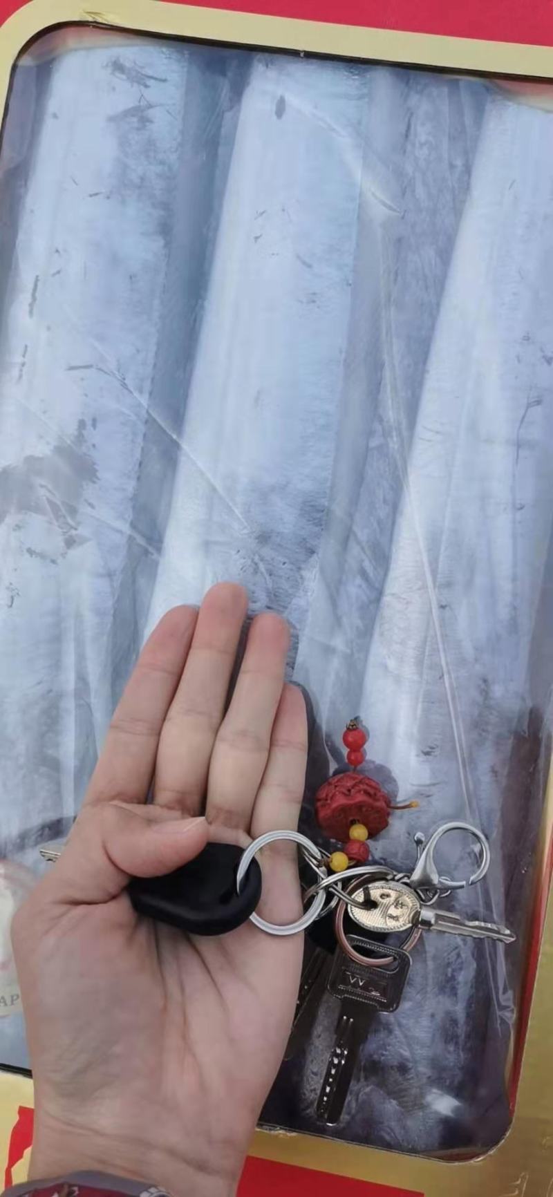 带鱼，鲜活速冻，三证齐全！新货量大，各个规格齐全！