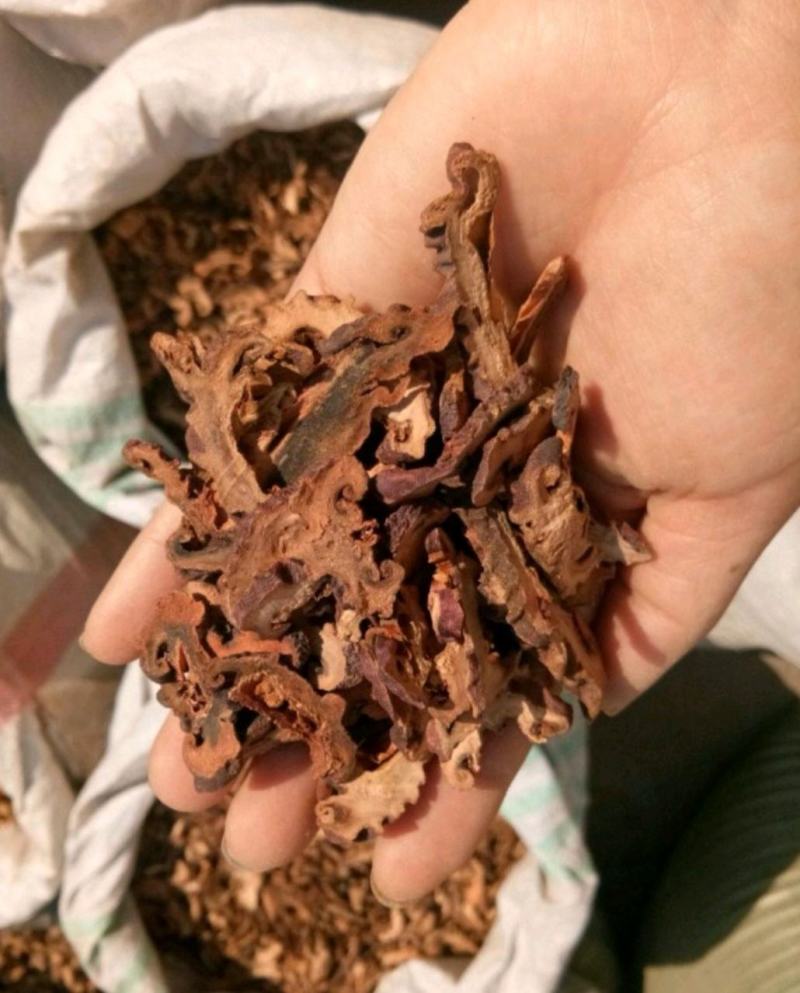 中药材木瓜湖北无硫皱木瓜散装新鲜干货