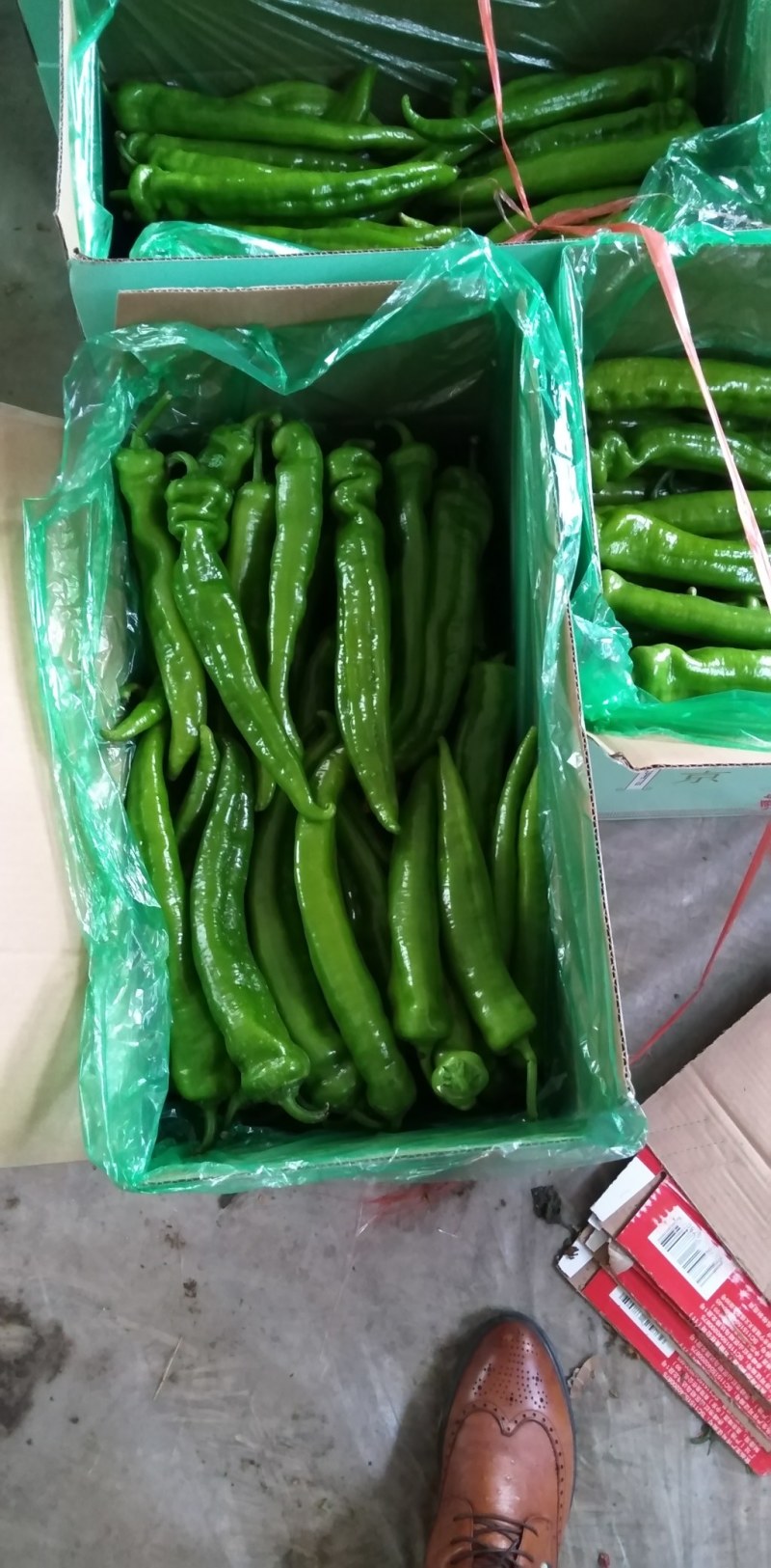 黄皮羊角尖椒产地直销