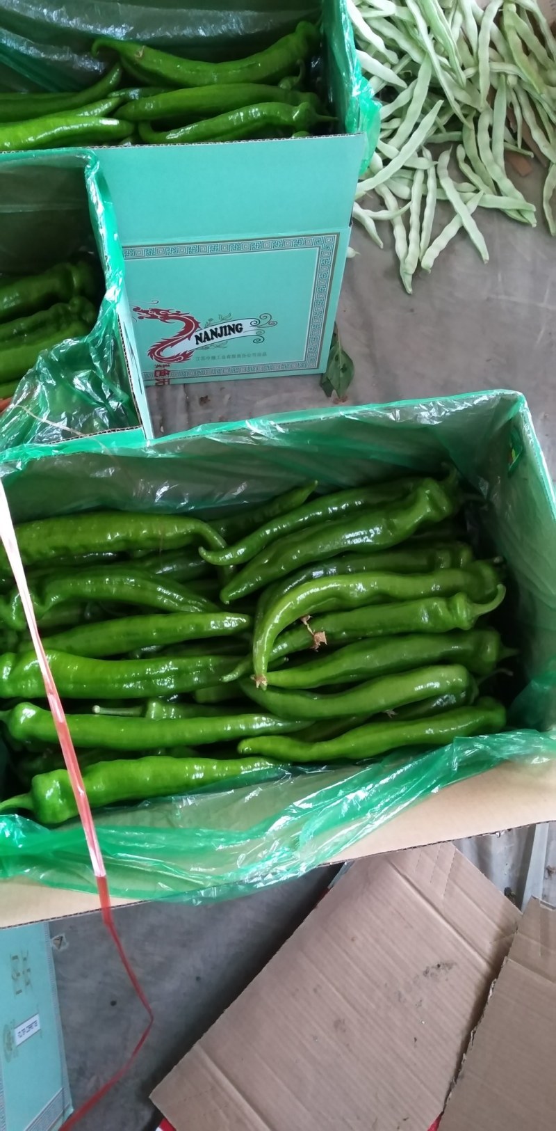 黄皮羊角尖椒产地直销