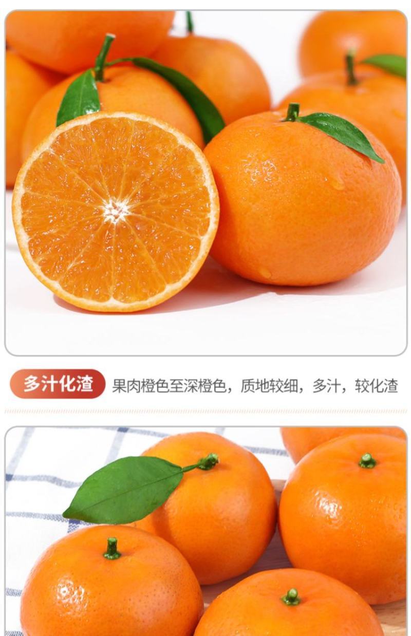 正宗广西精品沃柑65起步细皮全红清甜多汁产地直供代办代发