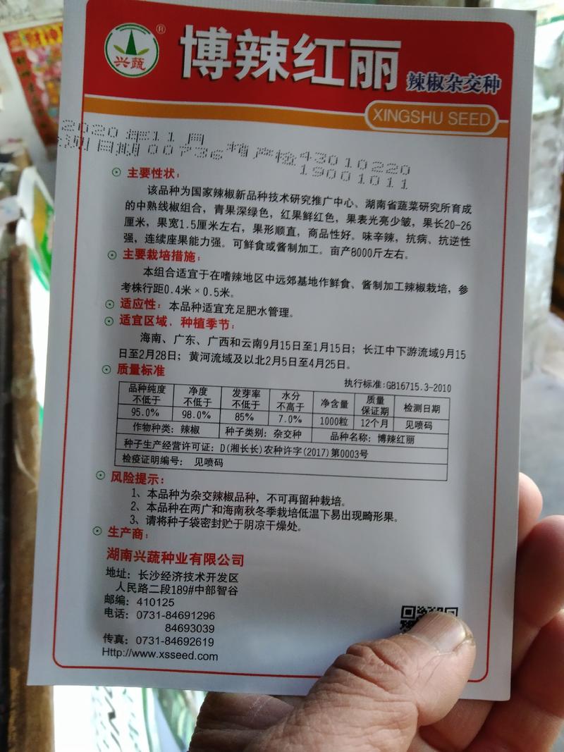 中华剑龙2号，黄皮椒种子，特早熟，果黄靓，产量高，