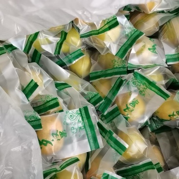 广西桂林罗汉果脱水果低温罗汉果批发各种规格齐全
