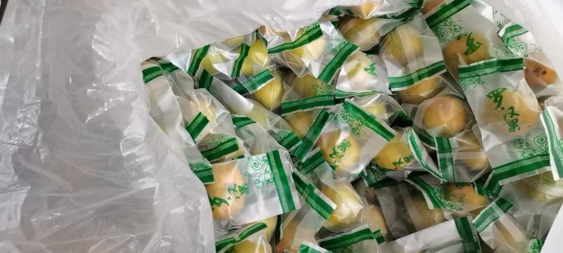 广西桂林罗汉果脱水果低温罗汉果批发各种规格齐全