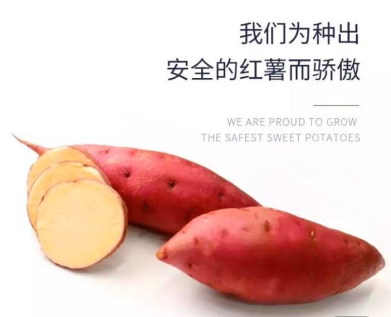 高糸十四一件代发平台代发