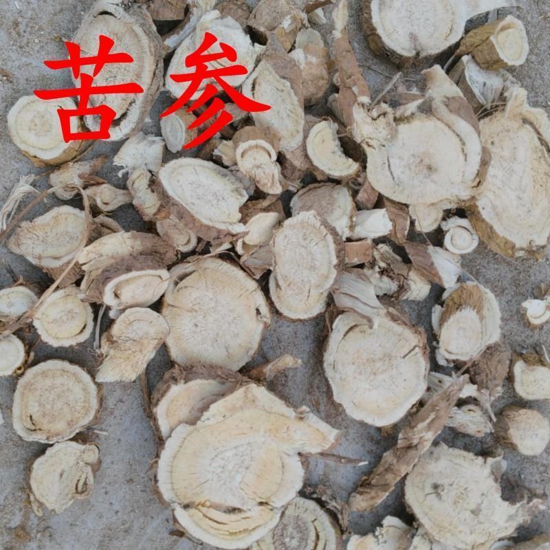 出售新采苦参种子中药材种子苦参种籽散装四季播种抗旱易管理