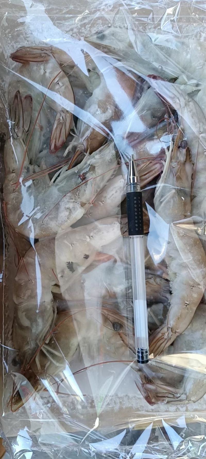 国产大虾净重1.1一盘一箱10盘11斤质量有保障核酸检测