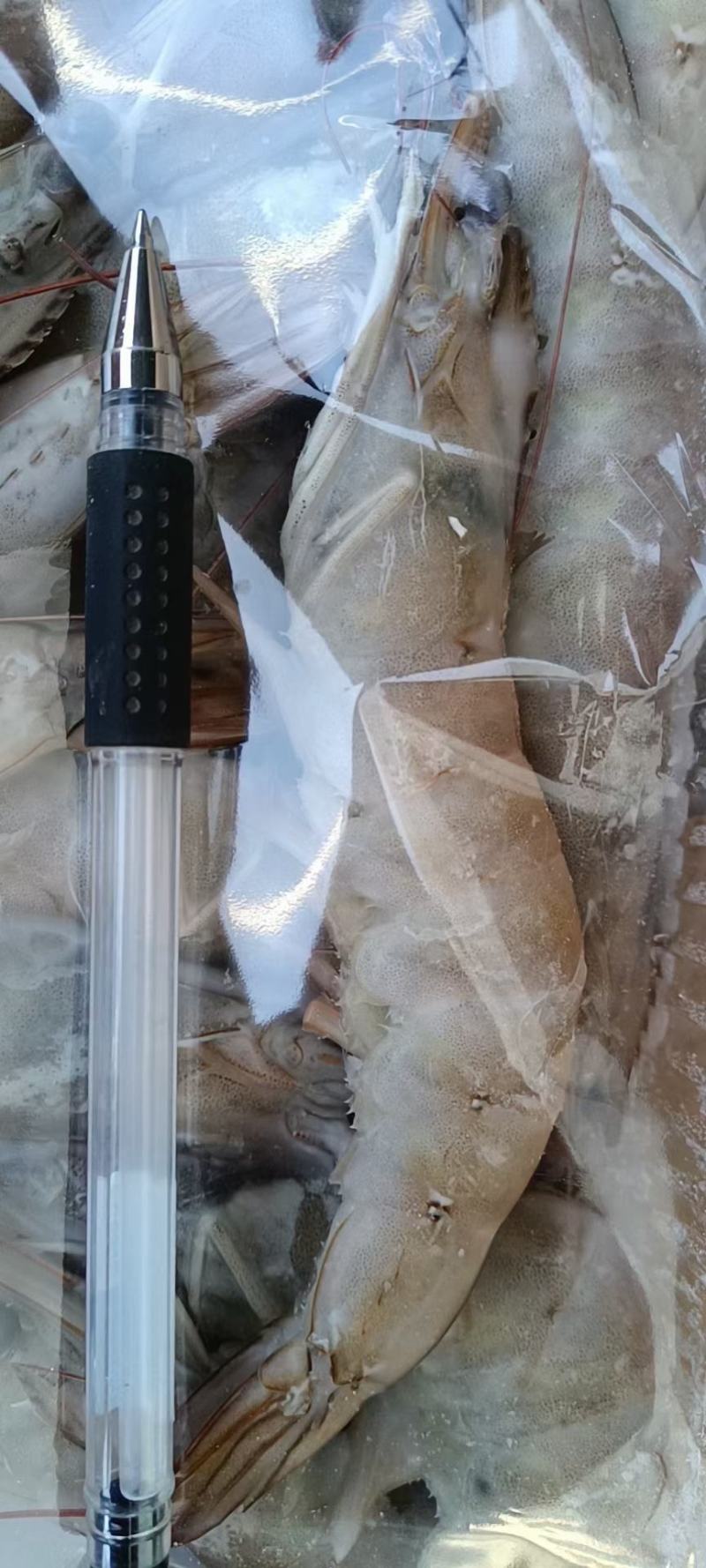 国产大虾净重1.1一盘一箱10盘11斤质量有保障核酸检测
