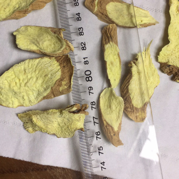 含量高价格实惠巴西人参