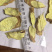 含量高价格实惠巴西人参