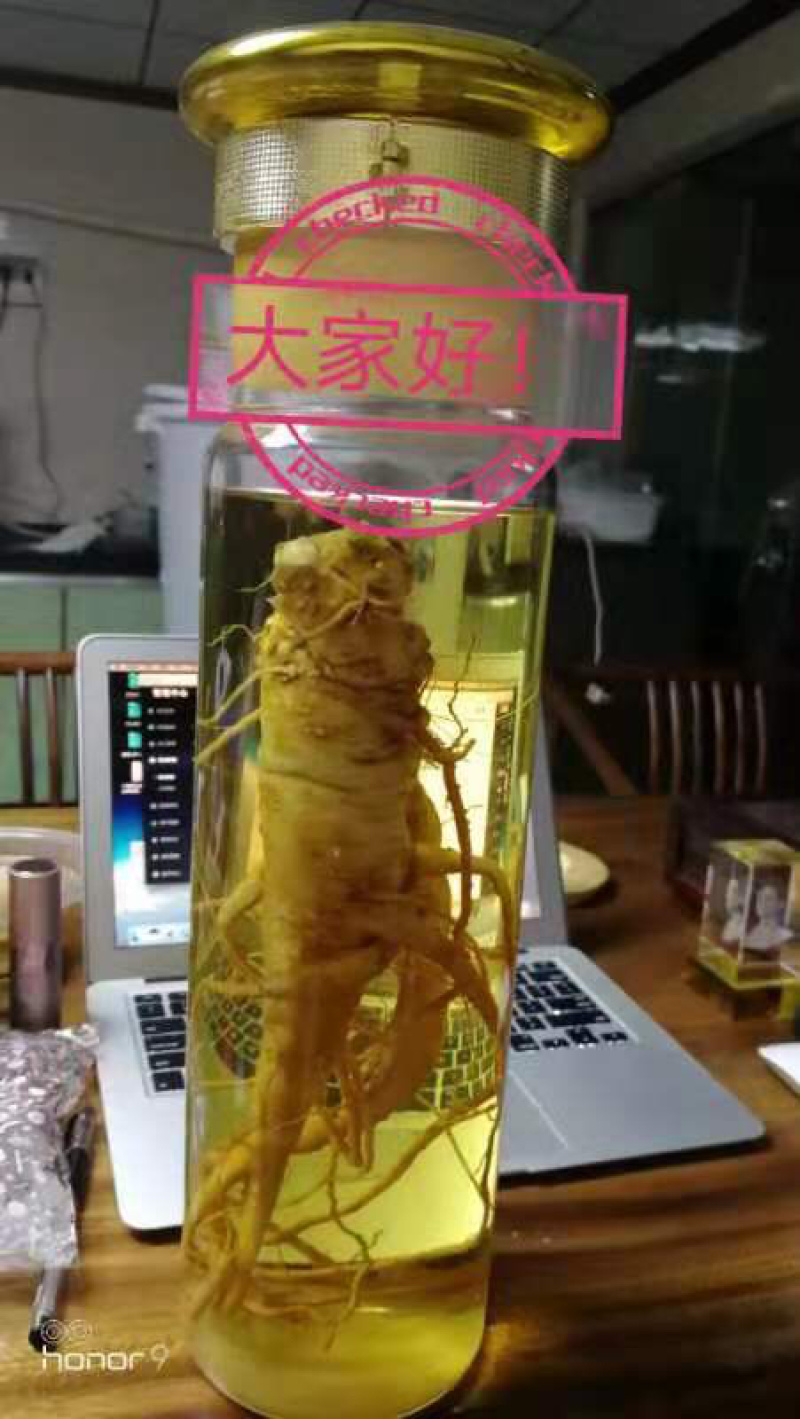 含量高价格实惠巴西人参
