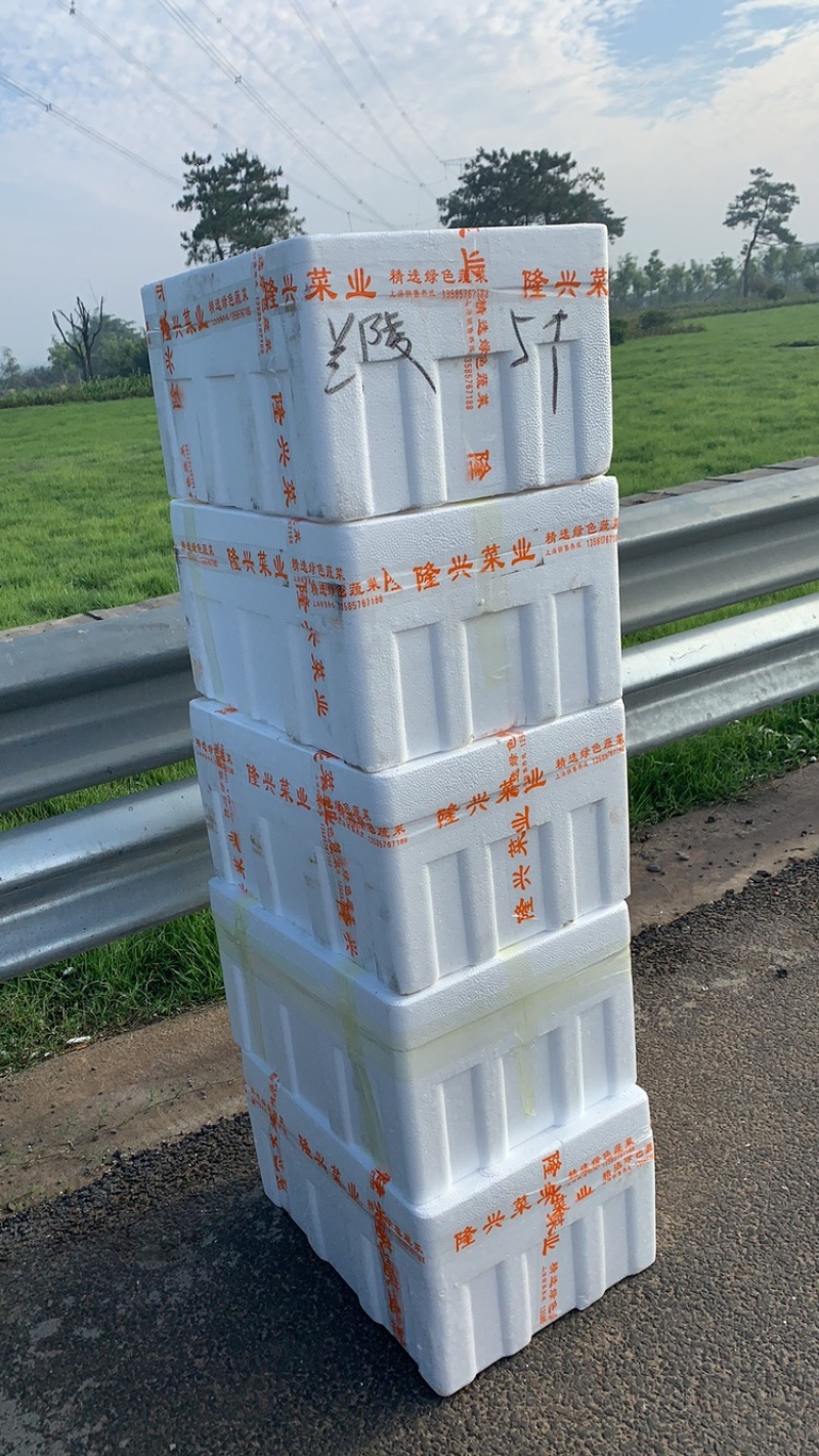 五彩椒苗包括红，黄，绿彩椒全国订单回收。