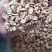 黄芪瓜子片选货无杂质碎沫3号4号6号选货