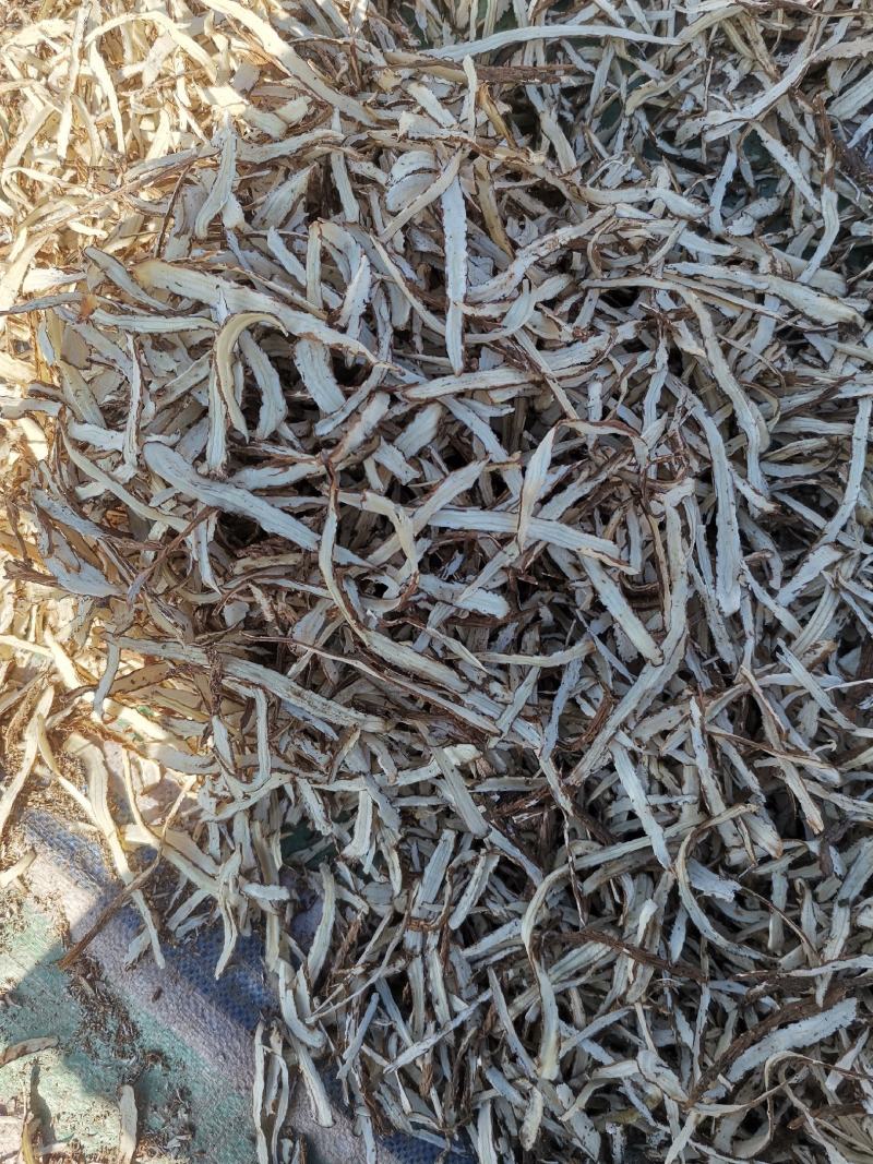 新货无硫当归归腿节子片【甘肃特产】当归腿切片中药当归藤