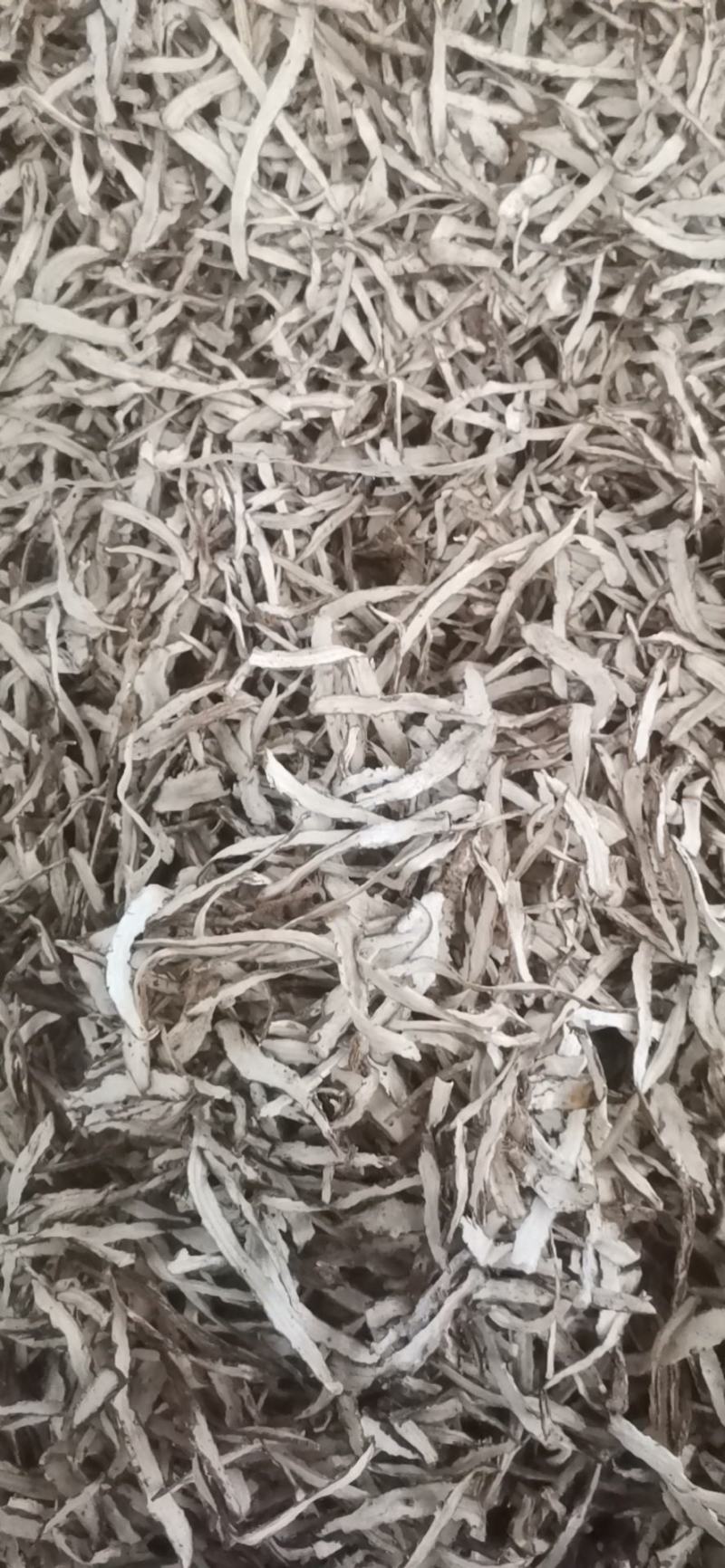 新货无硫当归归腿节子片【甘肃特产】当归腿切片中药当归藤