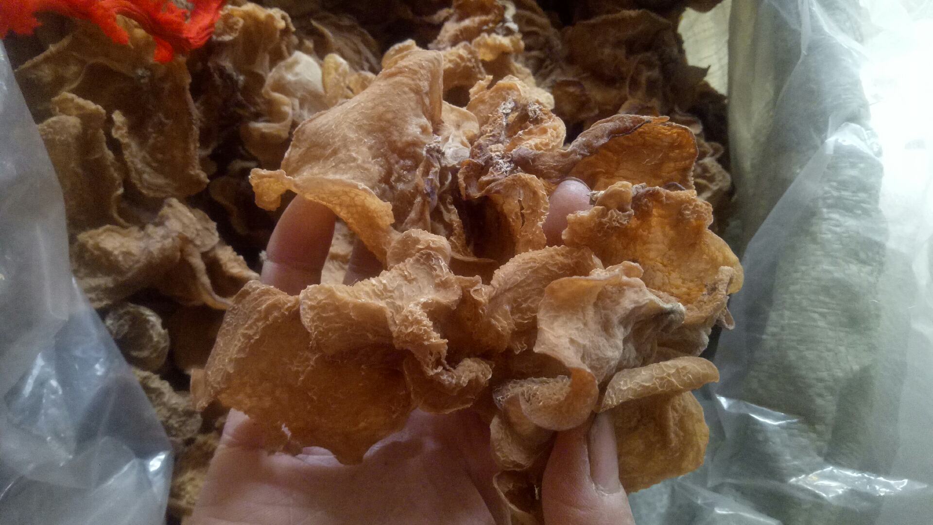 毛木耳泡发与焯煮过程图