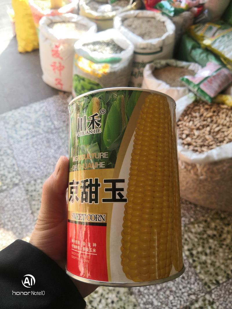 川禾京甜王甜玉米种子