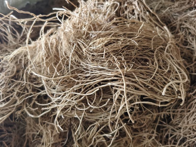 供应水洗白薇，白薇是我们产区的新品种纯干含量高