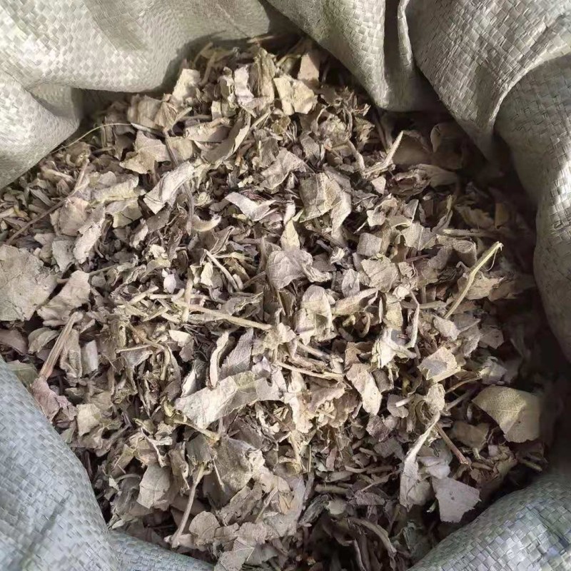 寻骨风产地直供支持线上交易可搭配多品种采购大货联系