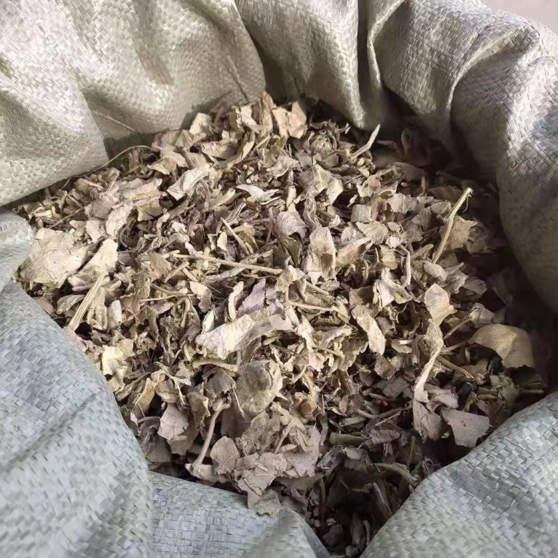 寻骨风产地直供支持线上交易可搭配多品种采购大货联系