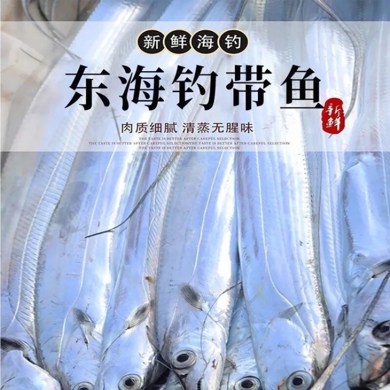 带鱼黄海带鱼小眼带鱼连云港本地小船带鱼整条小眼